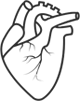 Minimally Invasive Mitral Valve Surgery
